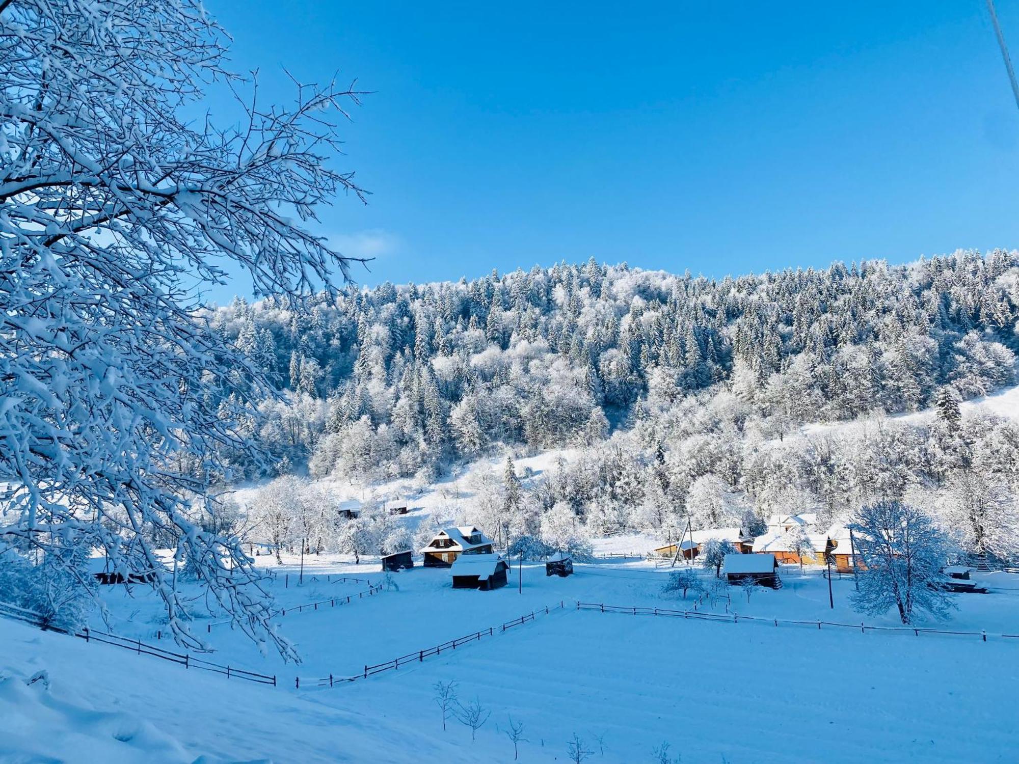 Bagriwood Lodges Yaremche Dış mekan fotoğraf