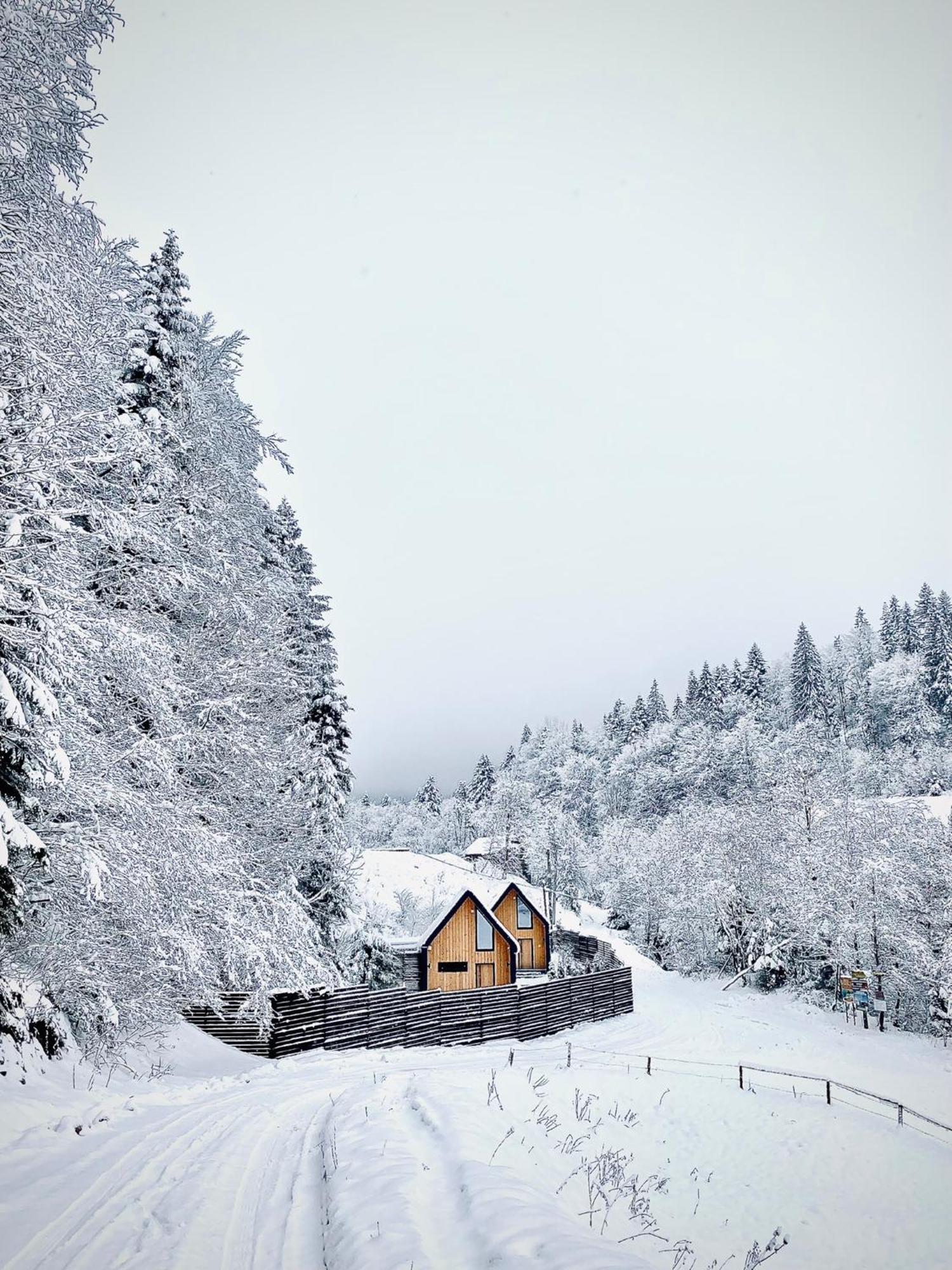 Bagriwood Lodges Yaremche Dış mekan fotoğraf
