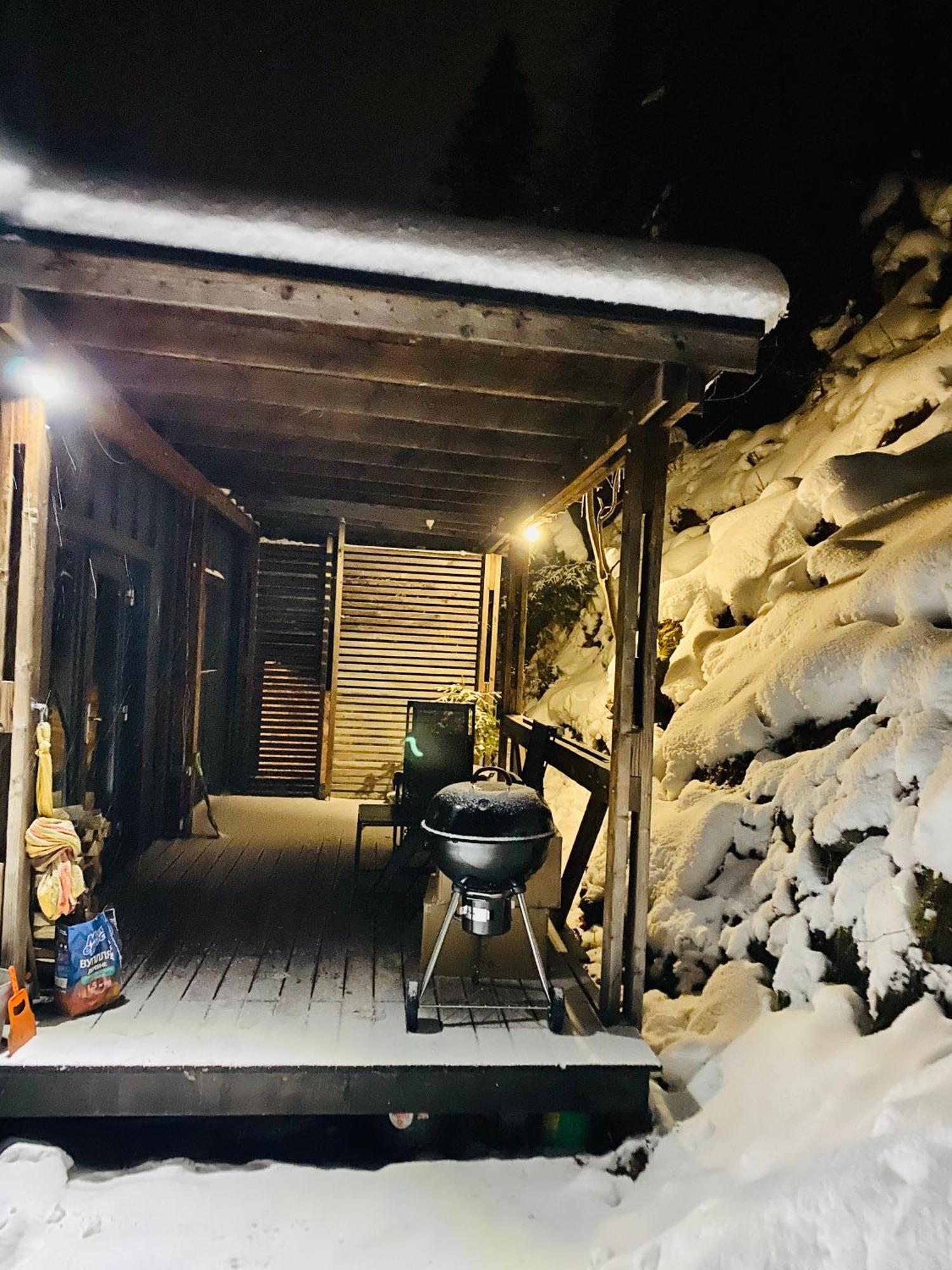 Bagriwood Lodges Yaremche Dış mekan fotoğraf