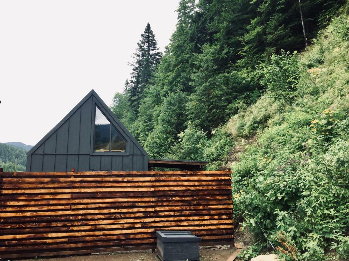 Bagriwood Lodges Yaremche Dış mekan fotoğraf