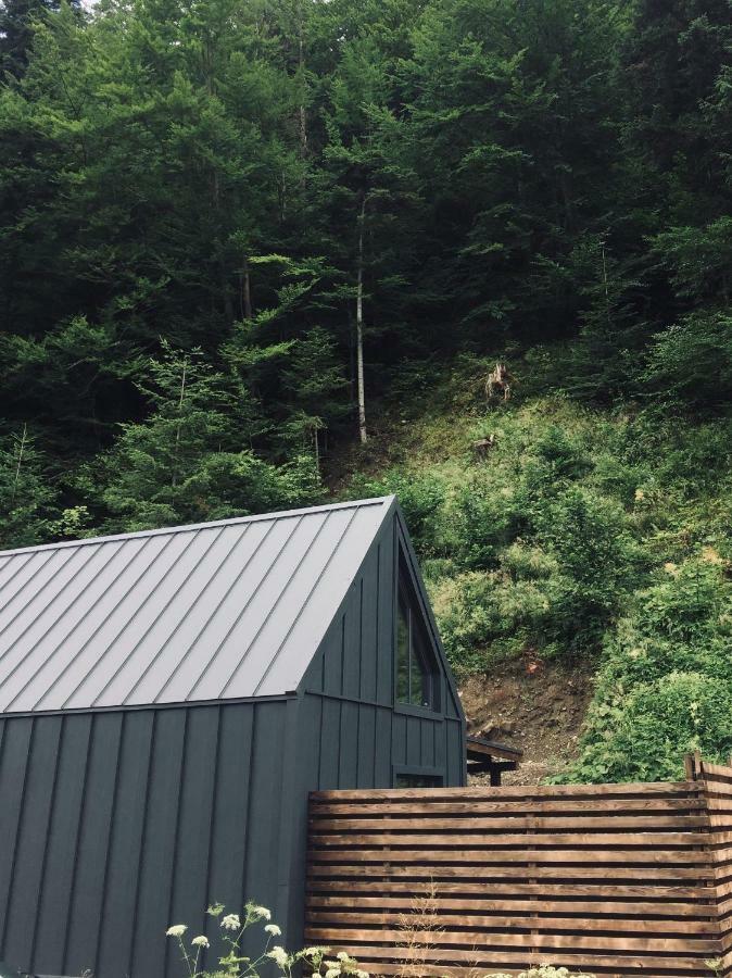 Bagriwood Lodges Yaremche Dış mekan fotoğraf